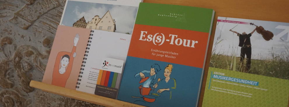 Stiftung Internationale Musikschulakademie Kulturzentrum Schloss Kapfenburg