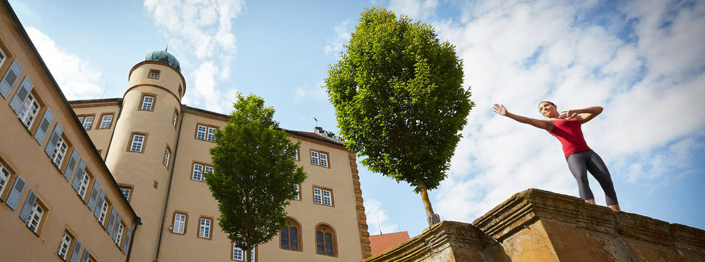 Stiftung Internationale Musikschulakademie Kulturzentrum Schloss Kapfenburg