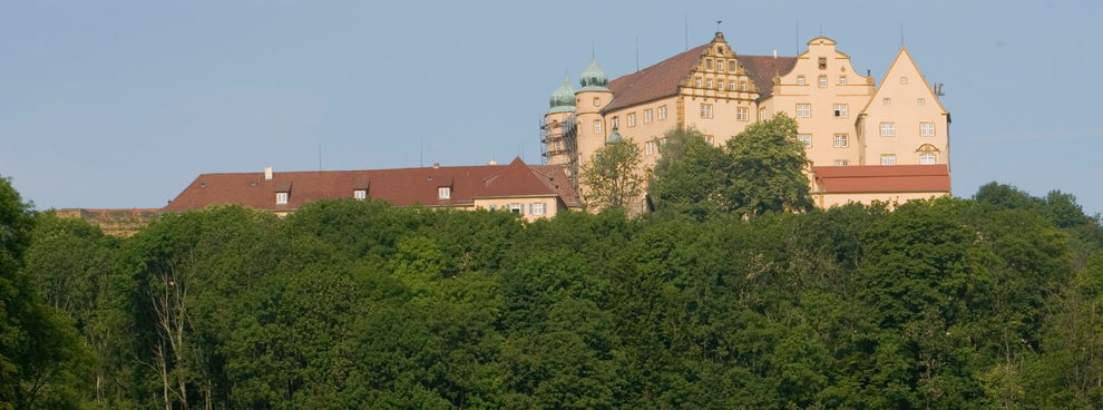 Stiftung Internationale Musikschulakademie Kulturzentrum Schloss Kapfenburg
