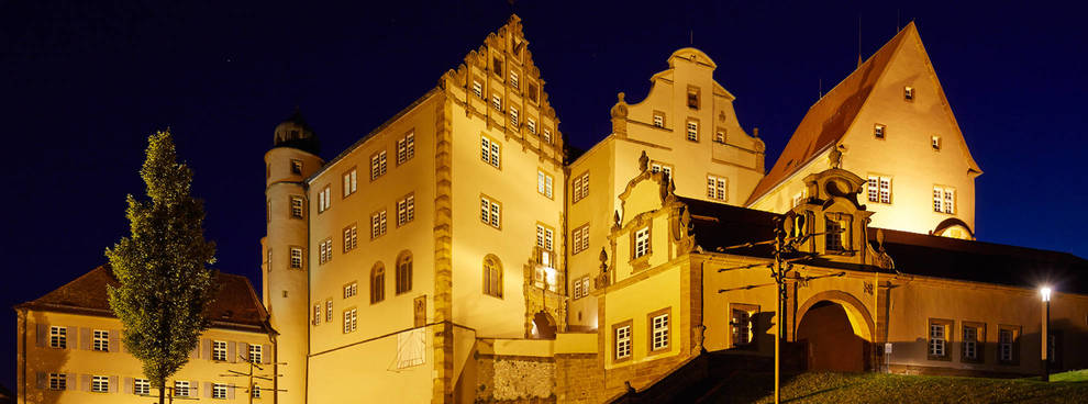 Stiftung Internationale Musikschulakademie Kulturzentrum Schloss Kapfenburg