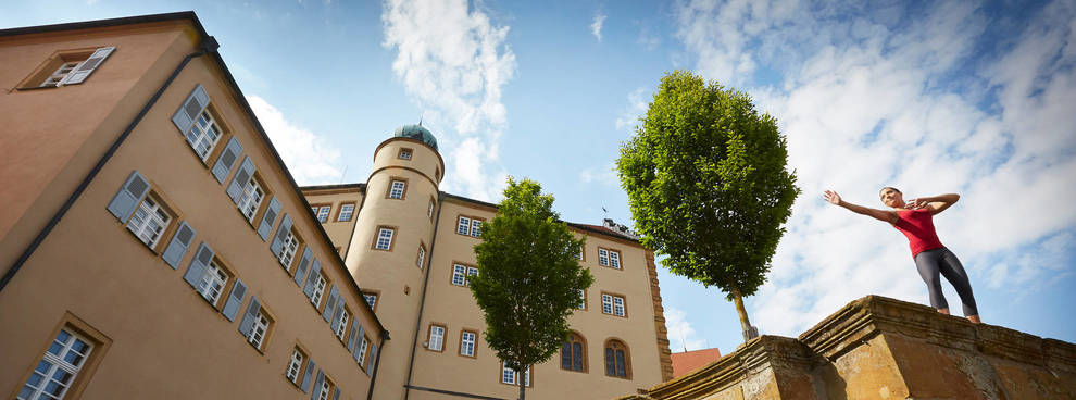 Stiftung Internationale Musikschulakademie Kulturzentrum Schloss Kapfenburg
